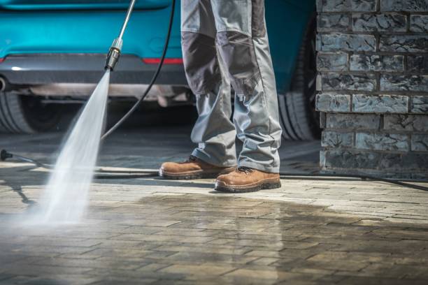Best Spring Cleaning  in Buenaventura Lakes, FL