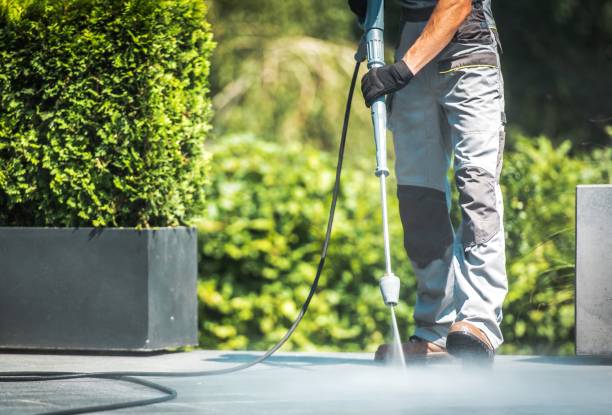 Best Driveway Pressure Washing  in Buenaventura Lakes, FL