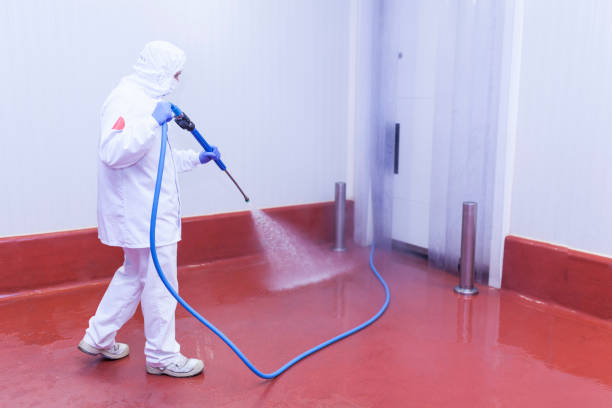 Best Sign and Awning Cleaning  in Buenaventura Lakes, FL